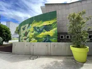 graffeiur professionnel toulouse paris